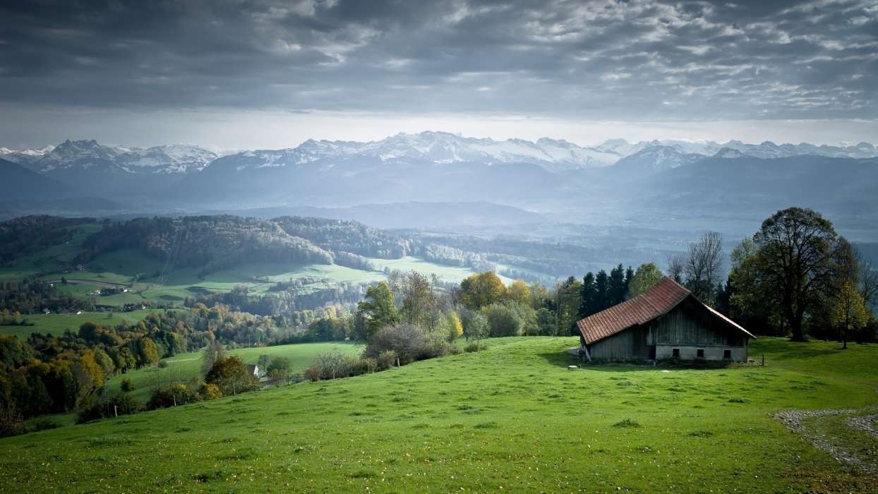 Trees, Houses, Mountains, Landscape, Fields