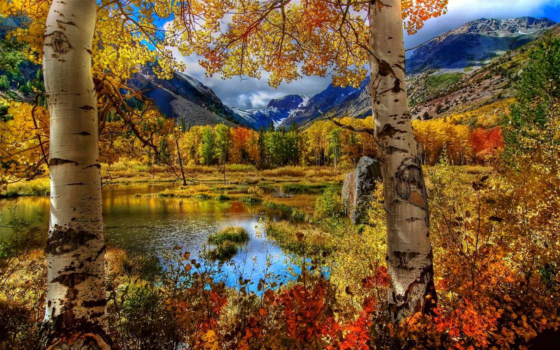 Trees, Birches, Mountains, Autumn, Landscape, Rivers