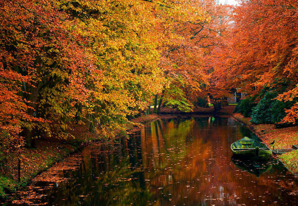 Trees, Boats, Autumn, Landscape, Rivers