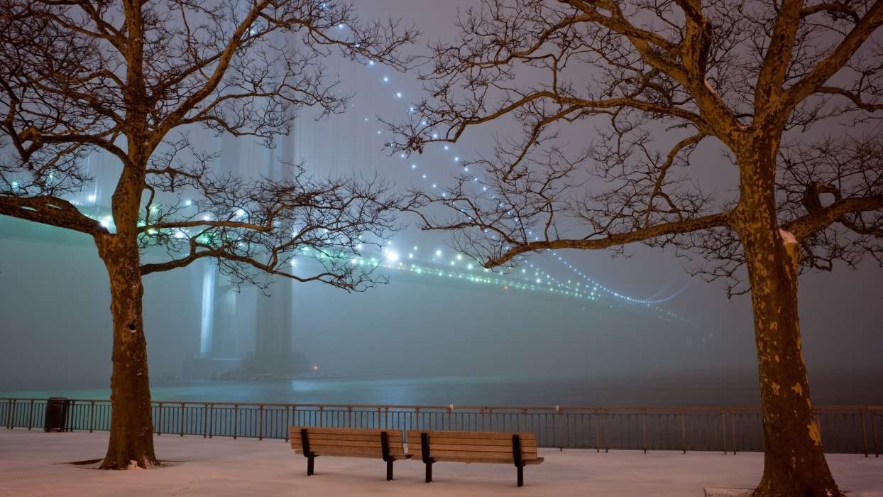 Trees, Bridges, Night, Landscape, Winter