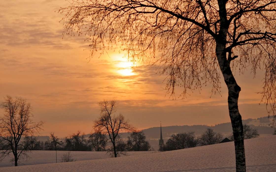 Trees, Landscape, Fields, Snow, Sunset