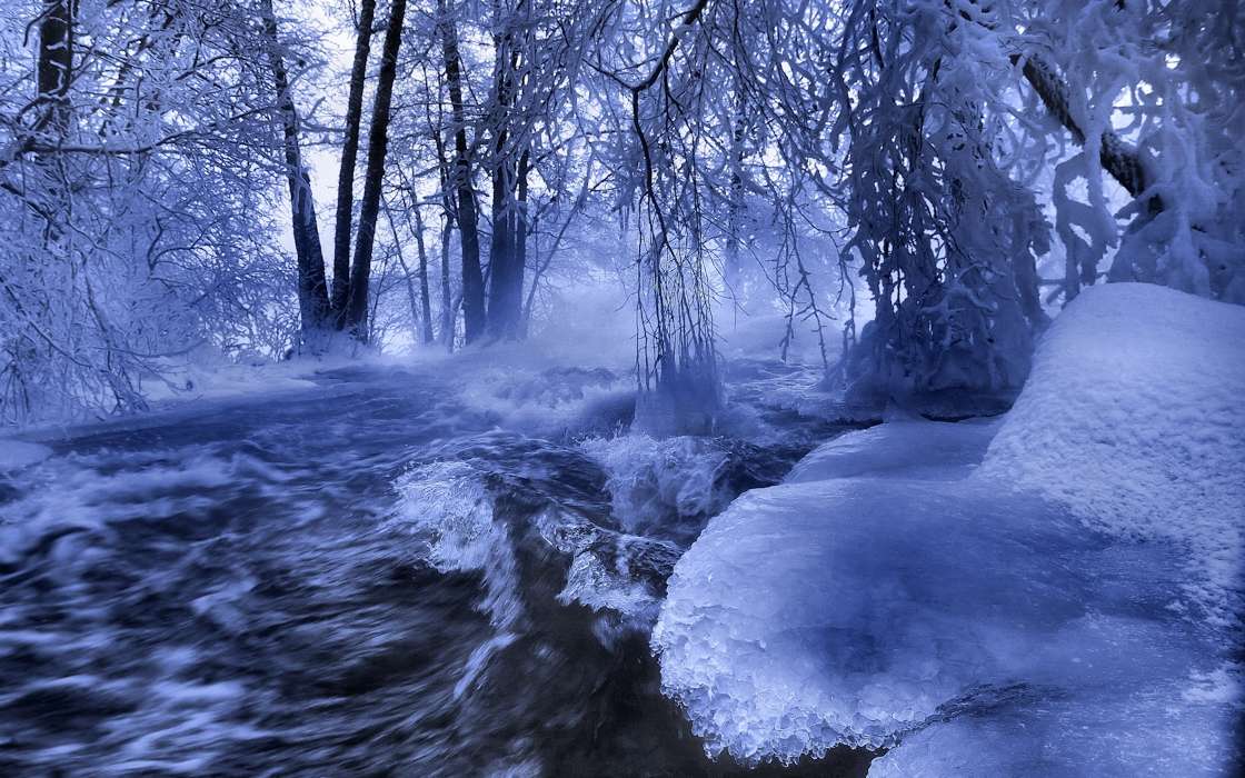 Landscape, Winter, Nature, Rivers, Trees