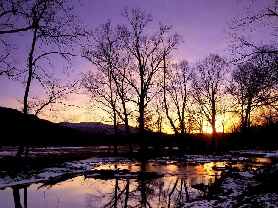 Landscape, Winter, Water, Rivers, Trees, Sunset