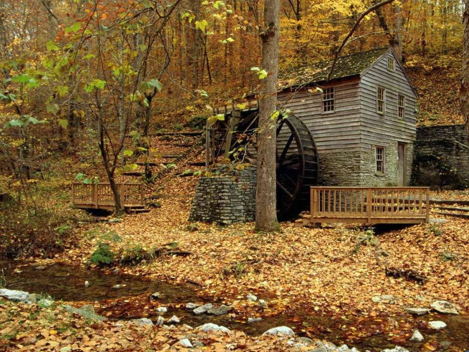 Houses,Autumn,Landscape