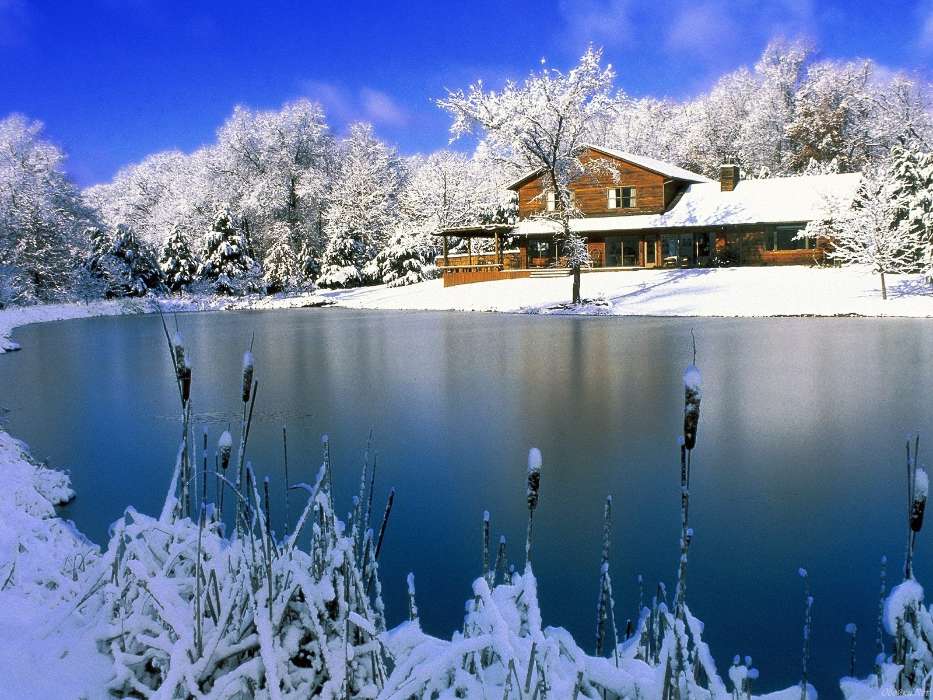 Houses, Lakes, Landscape, Snow, Winter