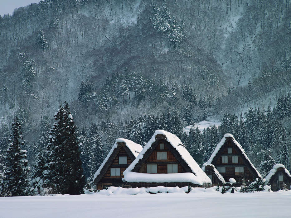 Landscape, Winter, Houses