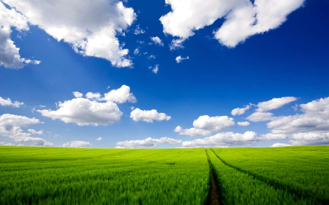Landscape, Grass, Sky, Roads