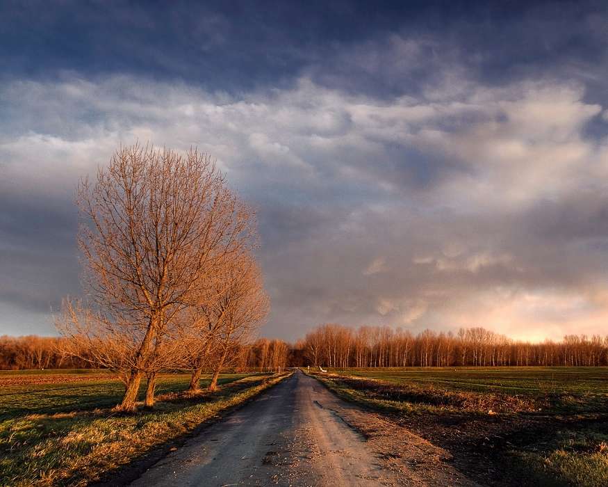 Roads, Clouds, Landscape, Fields