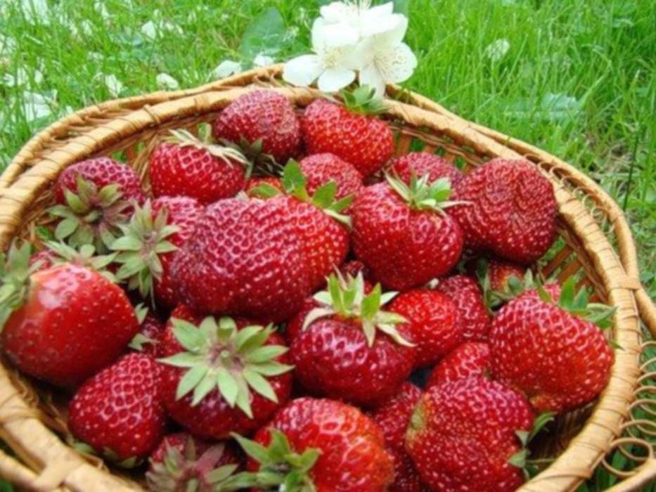 Plants, Fruits, Food, Strawberry, Berries