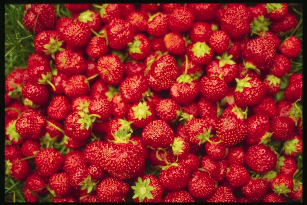 Food, Berries, Strawberry