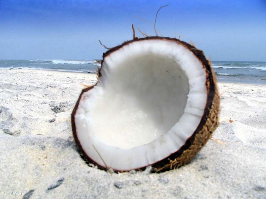 Food, Coconuts