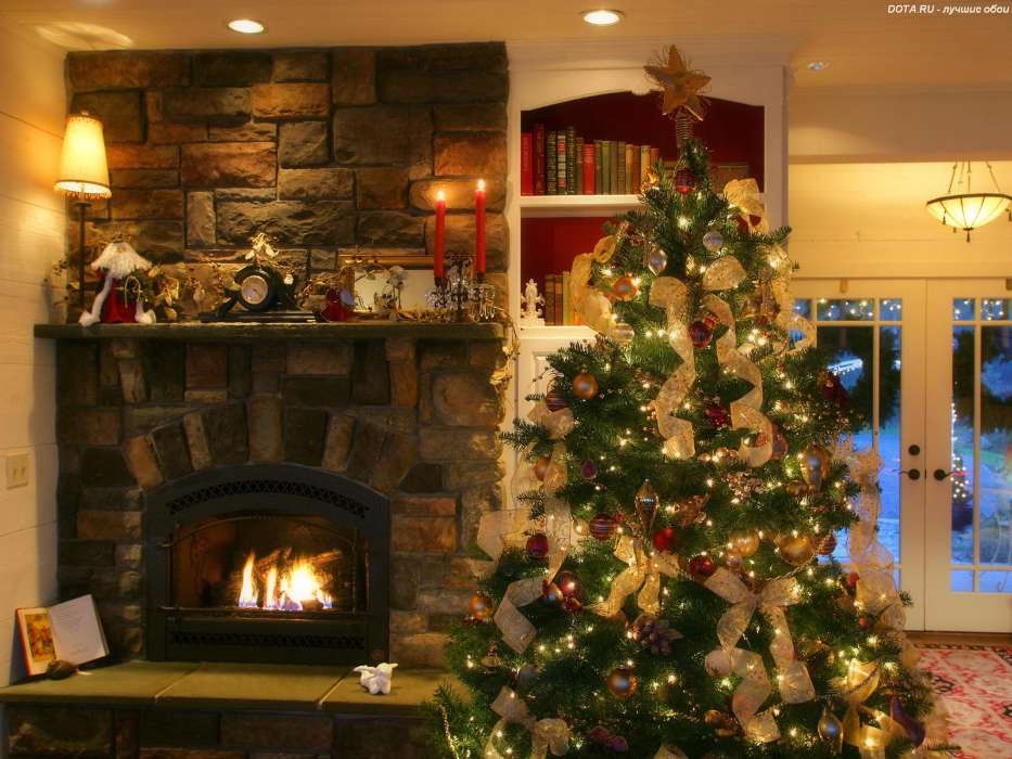 Holidays, New Year, Interior, Fir-trees, Christmas, Xmas