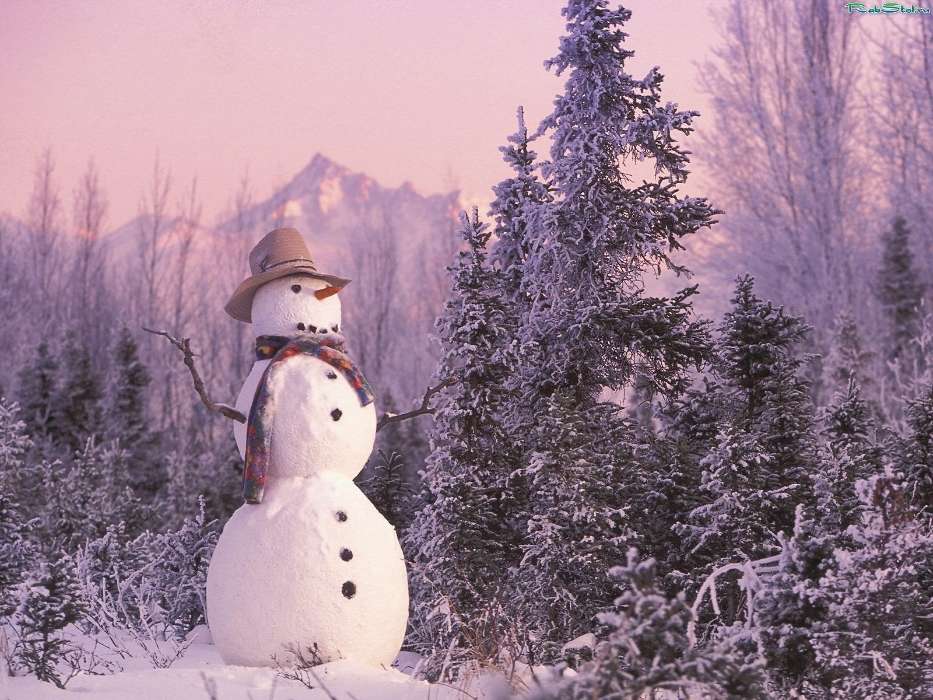 Landscape, Winter, New Year, Snow, Fir-trees, Christmas, Xmas, Snowman