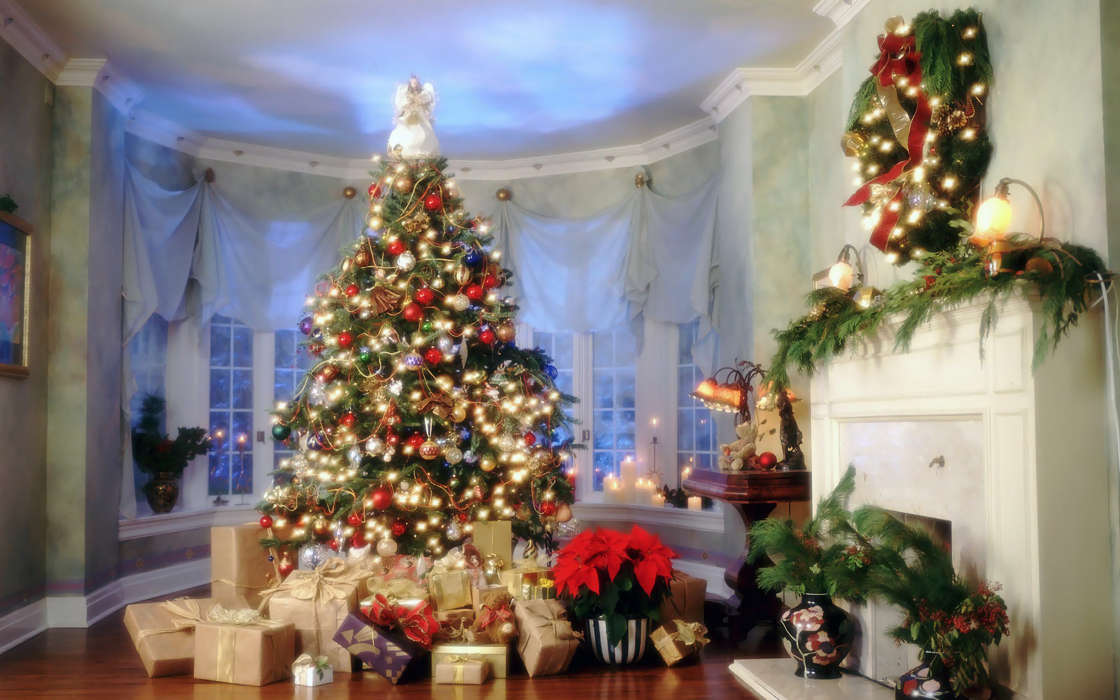 Holidays, New Year, Fir-trees, Christmas, Xmas, Postcards