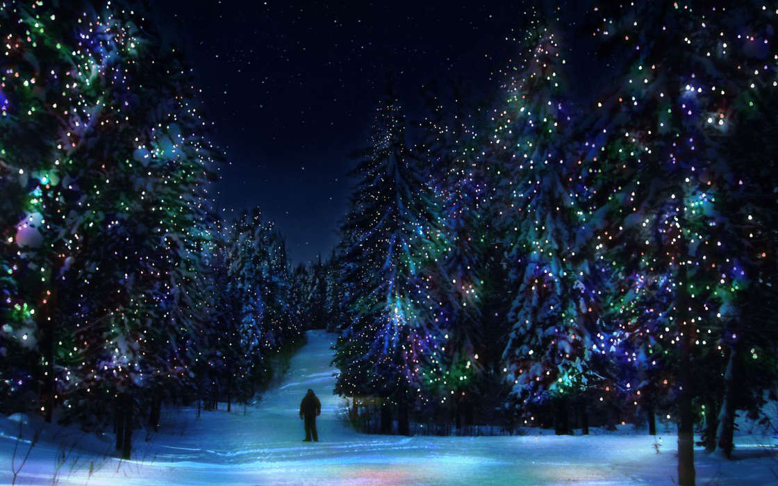 Fir-trees, New Year, Holidays, Christmas, Xmas, Winter