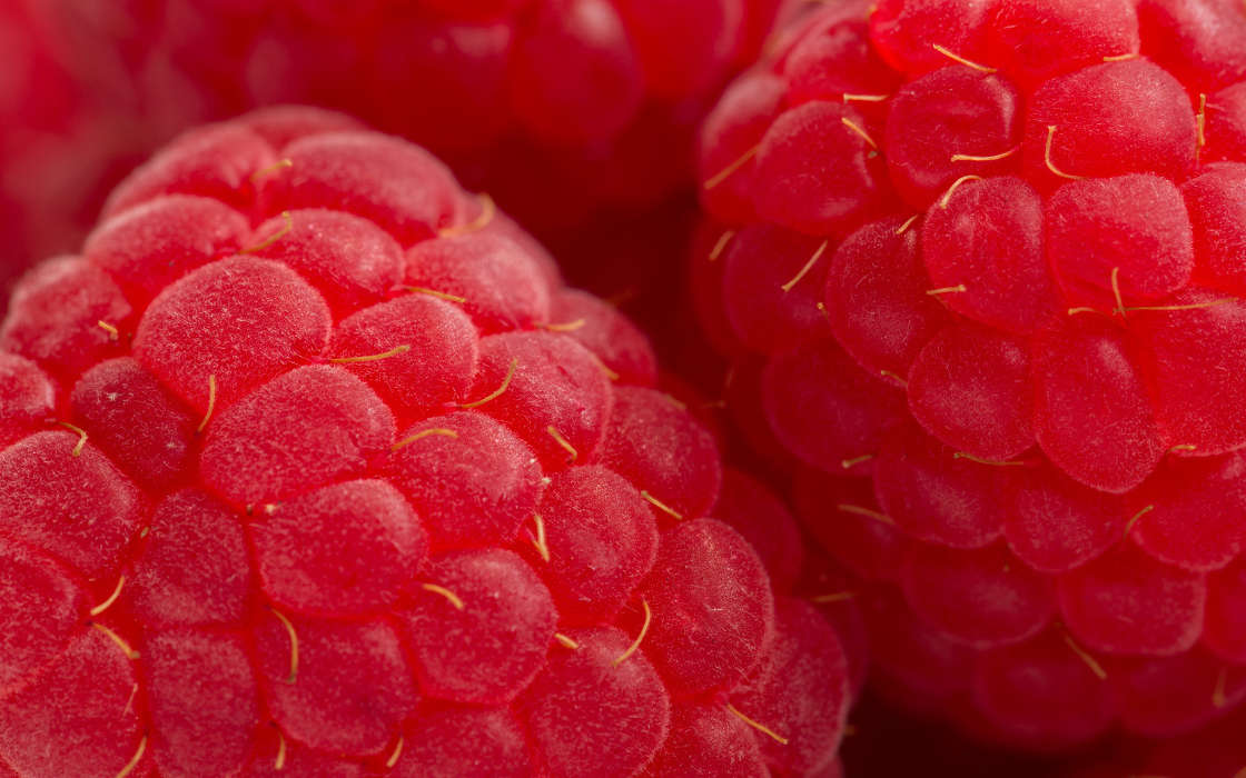 Background,Berries,Raspberry