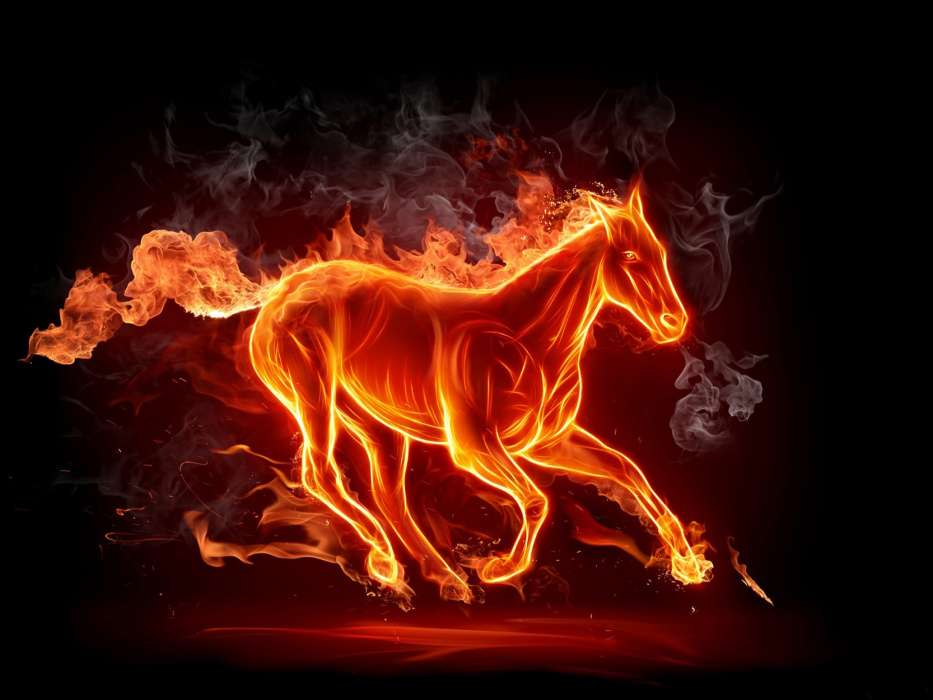 Background,Horses,Fire