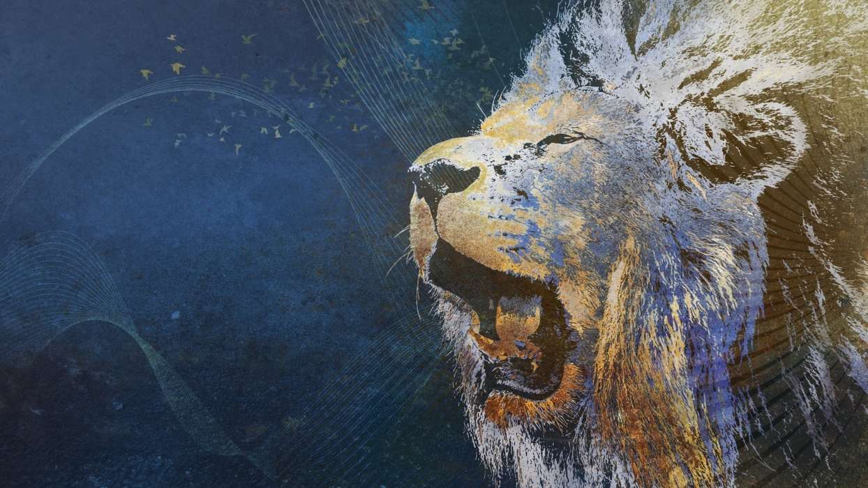 Background, Lions, Pictures, Animals
