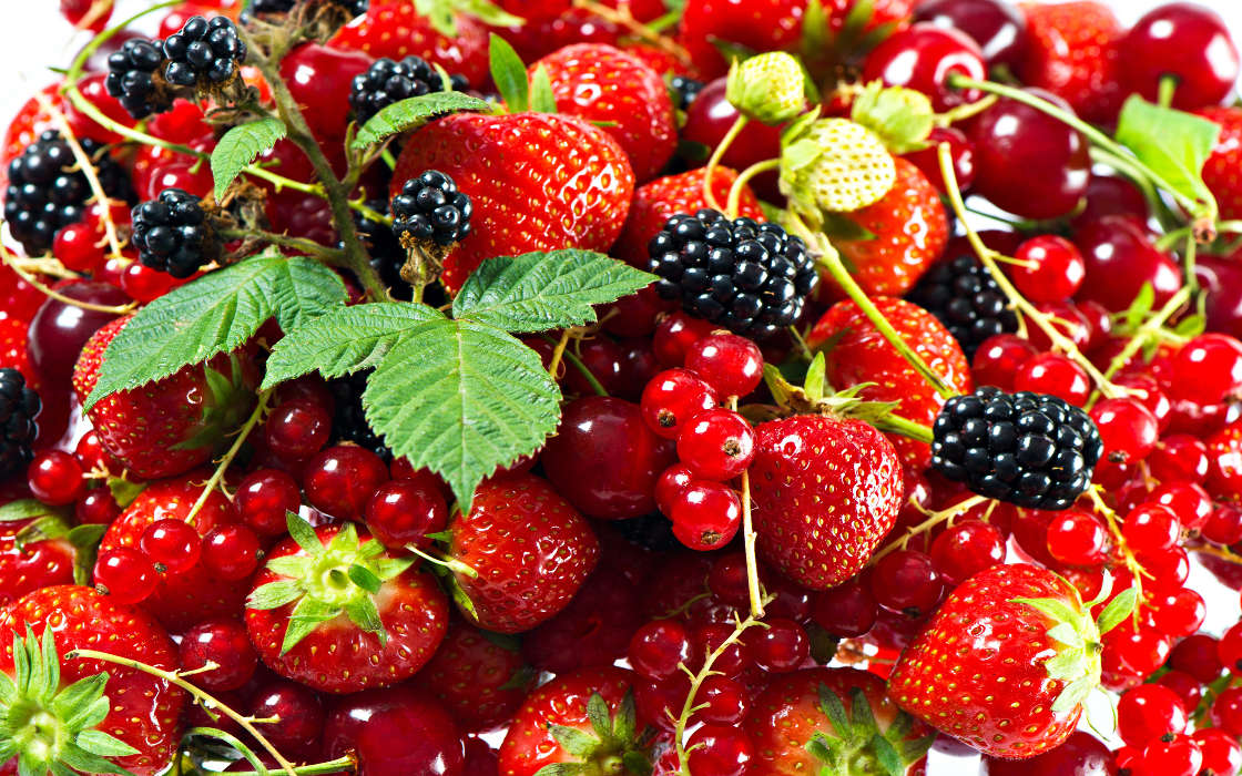 Fruits, Strawberry, Plants, Currant, Blackberry