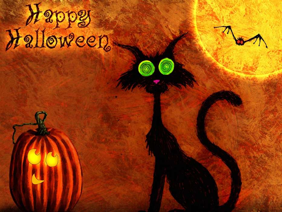 Halloween, Cats, Holidays, Pictures