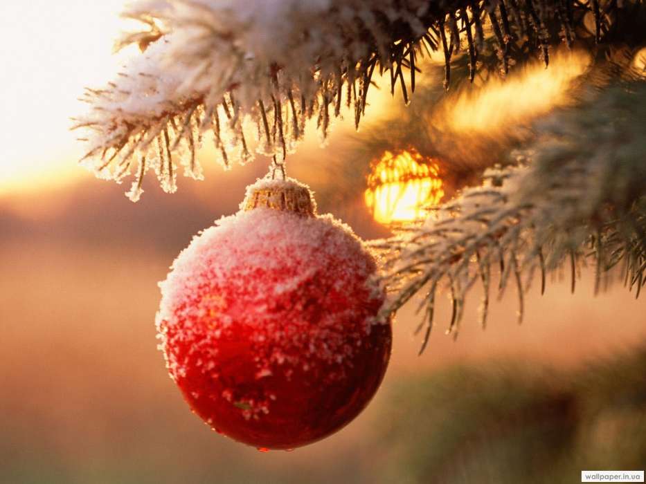 Holidays, New Year, Toys, Objects, Snow, Christmas, Xmas
