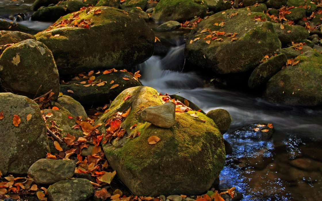 Landscape, Nature, Rivers, Stones, Autumn