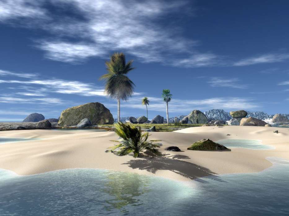 Landscape, Sky, Sea, Beach, Palms