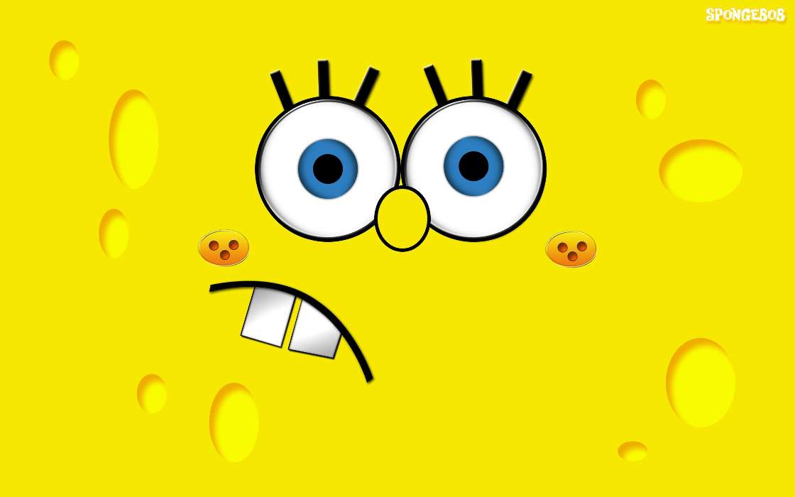 Cartoon, Sponge Bob