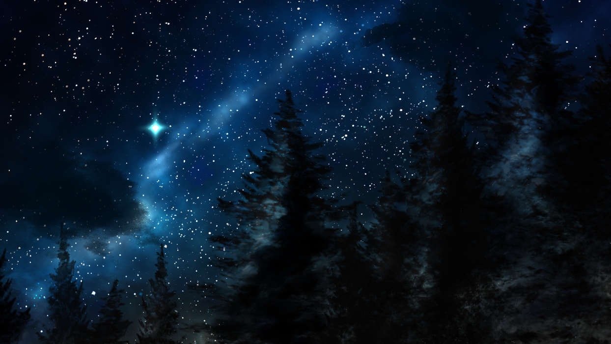 Night,Landscape,Stars