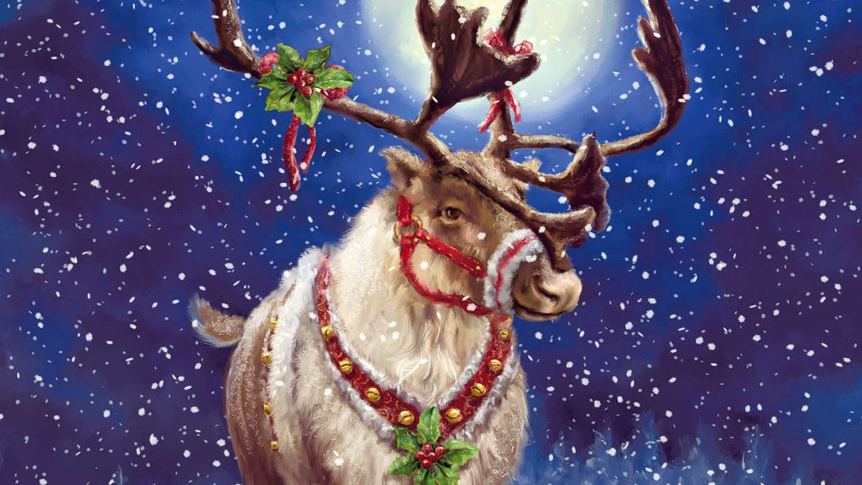 Deers, Holidays, Pictures, Christmas, Xmas, Snow, Animals