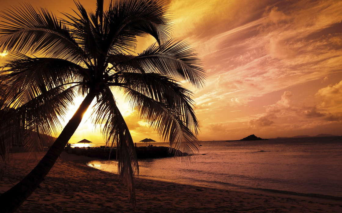Palms,Landscape,Beach,Sunset
