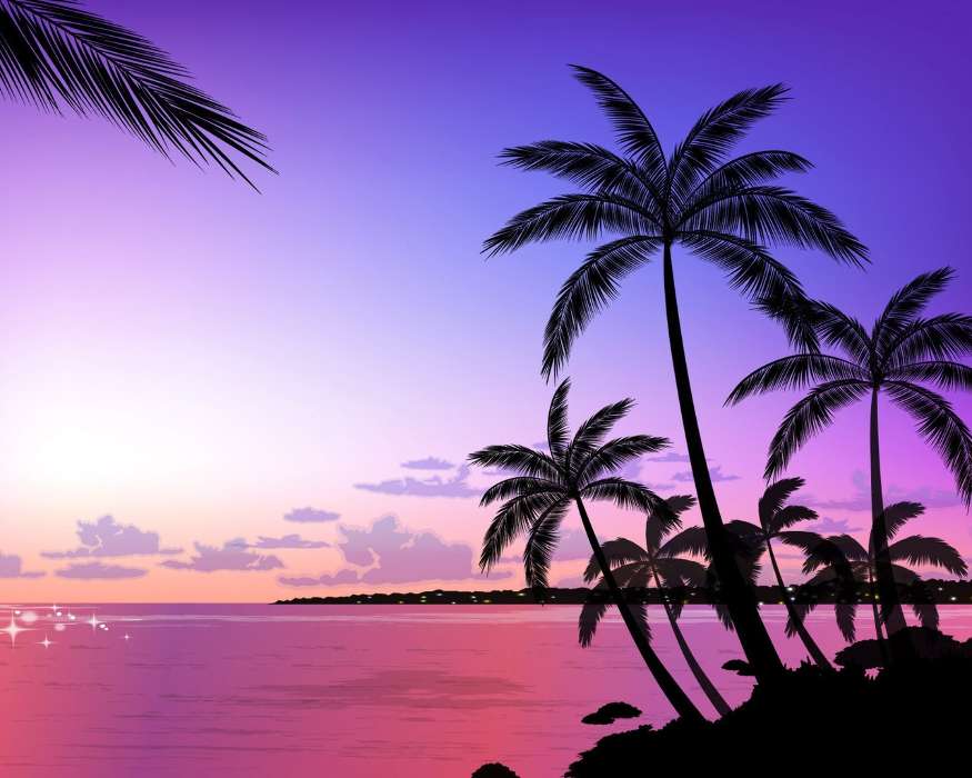 Landscape, Sunset, Palms, Drawings