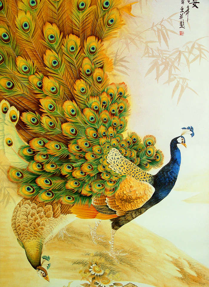 Animals, Birds, Drawings, Peacocks