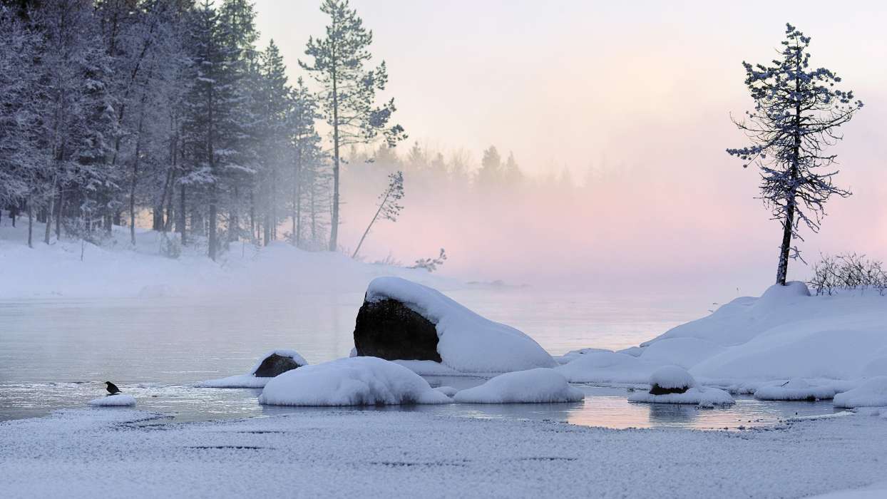 Landscape, Rivers, Snow, Winter