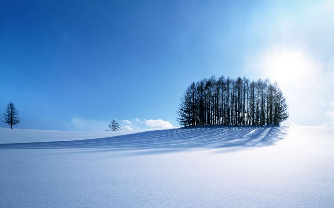 Landscape, Winter