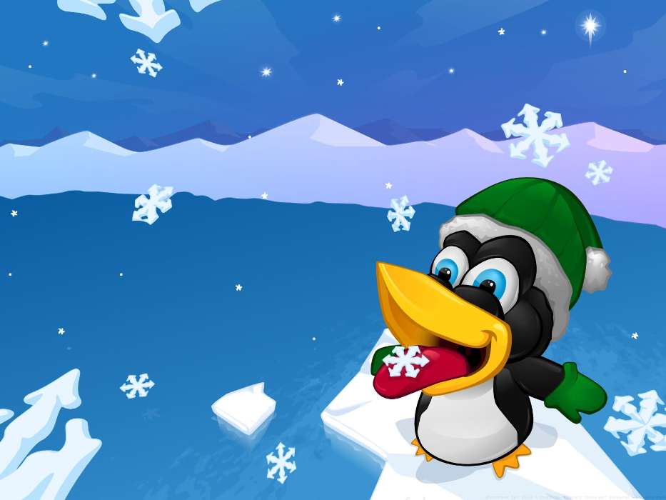Pinguins, Pictures, Snowflakes, Winter