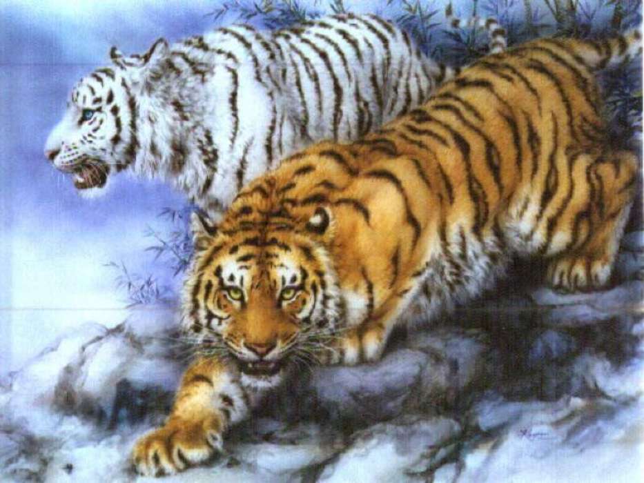 Animals, Tigers, Drawings