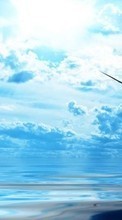 New mobile wallpapers - free download. Seagulls, Sky, Clouds, Nature picture and image for mobile phones.