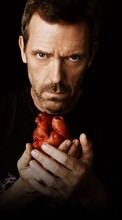 New 800x480 mobile wallpapers Cinema, Humans, Actors, House M.D., Hugh Laurie free download.
