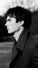 New mobile wallpapers - free download. Actors, Ian Somerhalder, People, Men picture and image for mobile phones.