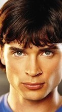 New mobile wallpapers - free download. Actors, People, Men, Tom Welling picture and image for mobile phones.