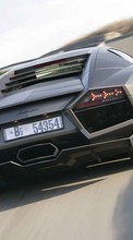 New mobile wallpapers - free download. Lamborghini, Auto, Roads, Transport picture and image for mobile phones.