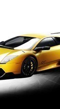 New mobile wallpapers - free download. Lamborghini, Auto, Transport picture and image for mobile phones.