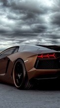New mobile wallpapers - free download. Lamborghini, Auto, Transport picture and image for mobile phones.