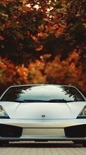 New mobile wallpapers - free download. Lamborghini,Auto,Transport picture and image for mobile phones.
