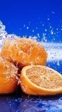 New mobile wallpapers - free download. Fruits, Water, Food, Oranges picture and image for mobile phones.