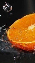 Oranges,Food,Fruits for Samsung Galaxy TREND