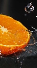 New mobile wallpapers - free download. Oranges, Food, Fruits, Drops, Water picture and image for mobile phones.
