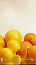 New mobile wallpapers - free download. Fruits, Food, Lemons, Oranges picture and image for mobile phones.