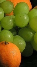 New mobile wallpapers - free download. Fruits, Food, Oranges, Grapes picture and image for mobile phones.